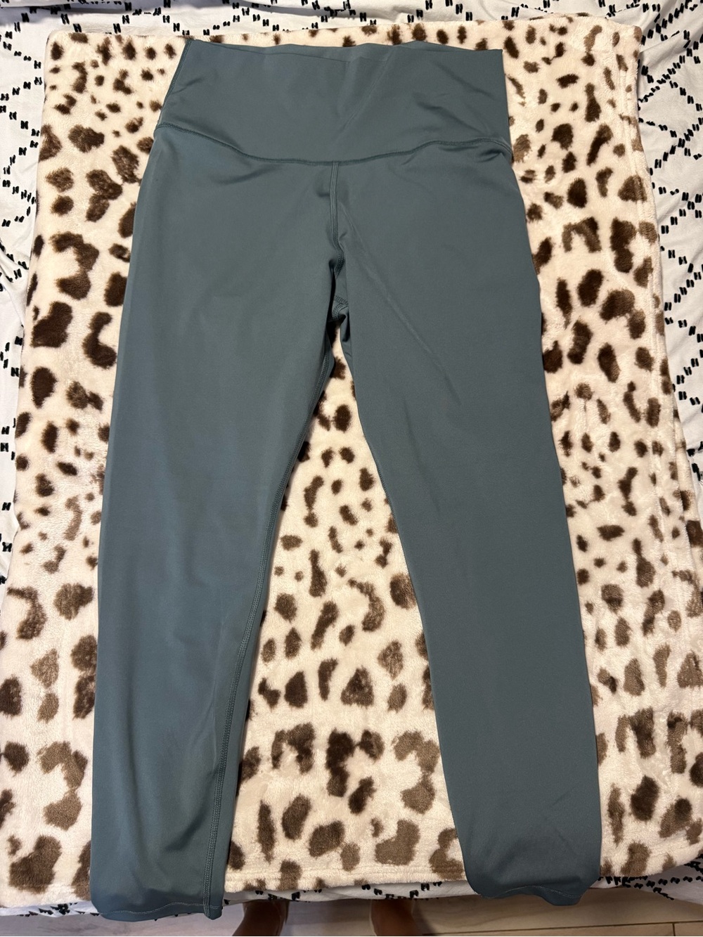 Nike Dri-FIT Light Slate Green Performance Leggings